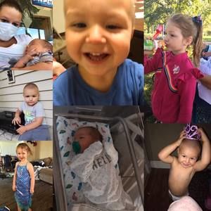 Meet your Posher, Barbara